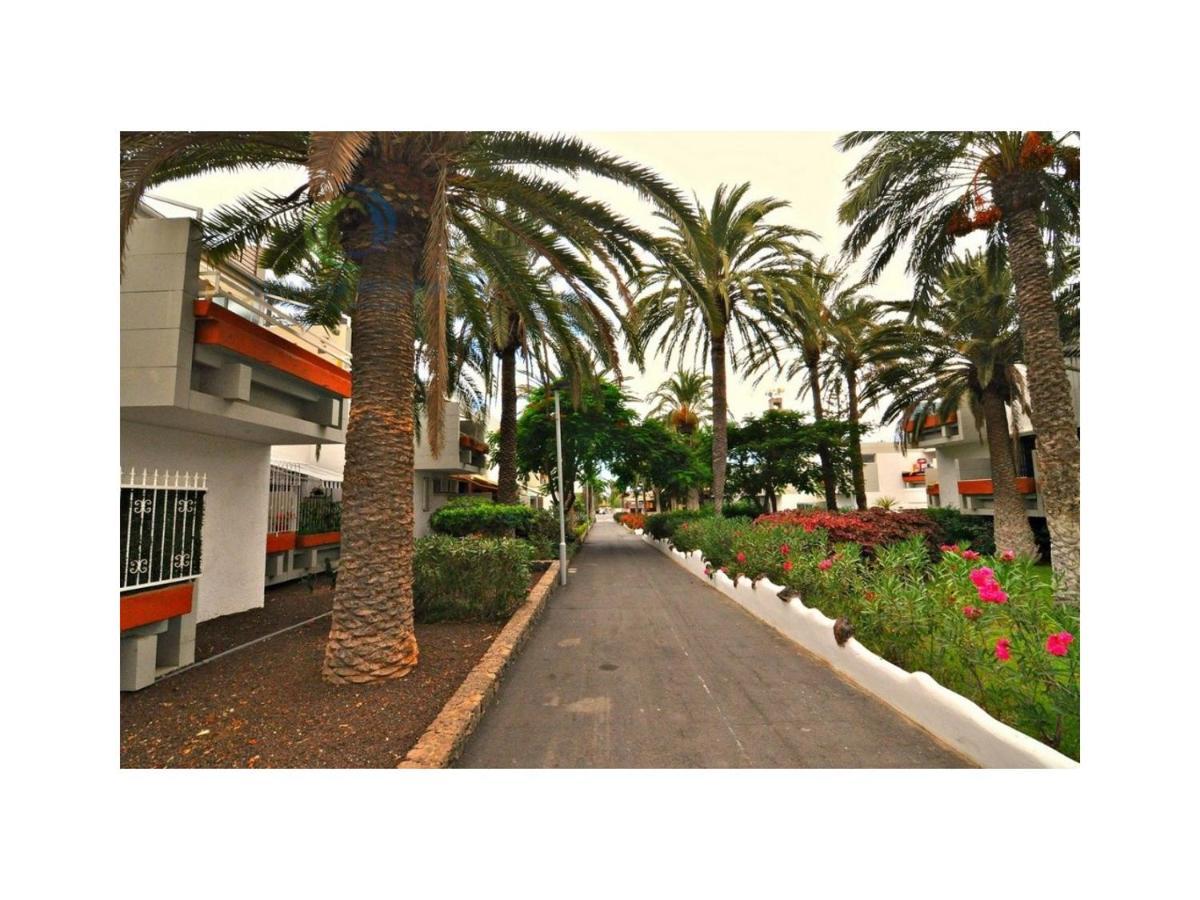 Apartamento Primavera Costa Del Silencio Zewnętrze zdjęcie